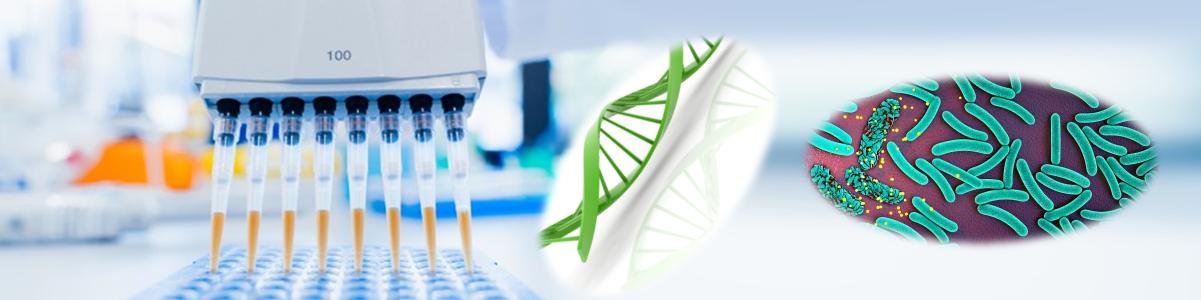 一步法細(xì)菌DNA純化試劑盒 一步法細(xì)菌DNA純化試劑盒