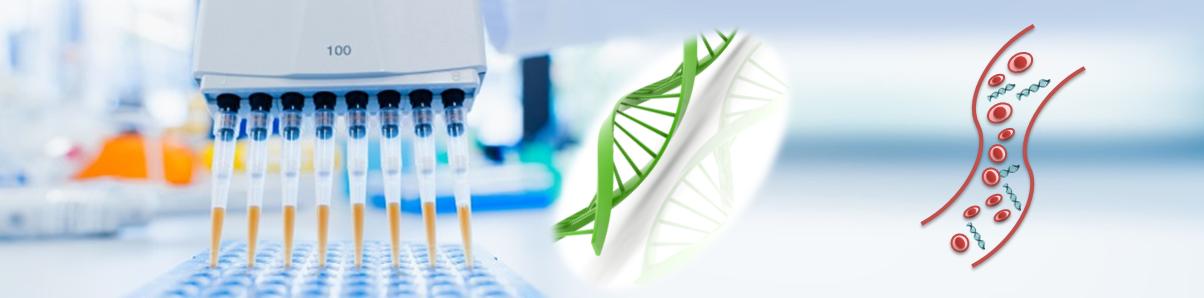 游離細胞DNA純化試劑盒 游離細胞DNA純化試劑盒