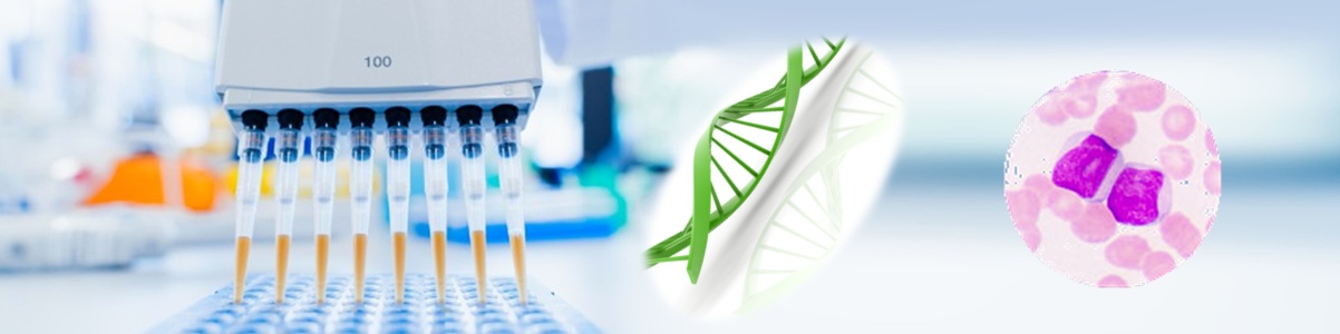 一步法哺乳動(dòng)物細(xì)胞DNA純化試劑盒 一步法哺乳動(dòng)物細(xì)胞DNA純化試劑盒