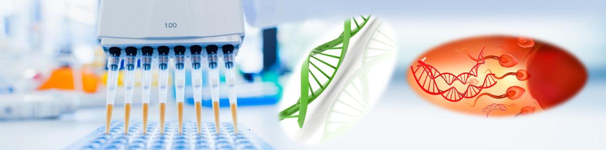 精斑性侵案件DNA核酸純化試劑盒 精斑性侵案件DNA核酸純化試劑盒