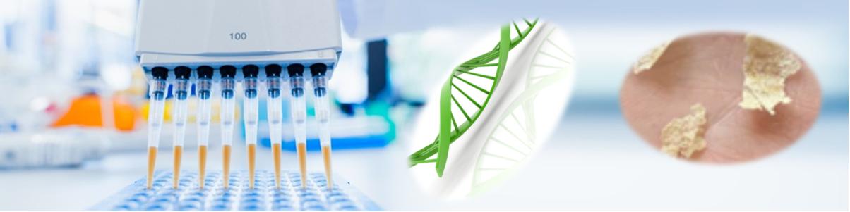 一步法頭皮屑細胞DNA純化試劑盒 一步法頭皮屑細胞DNA純化試劑盒