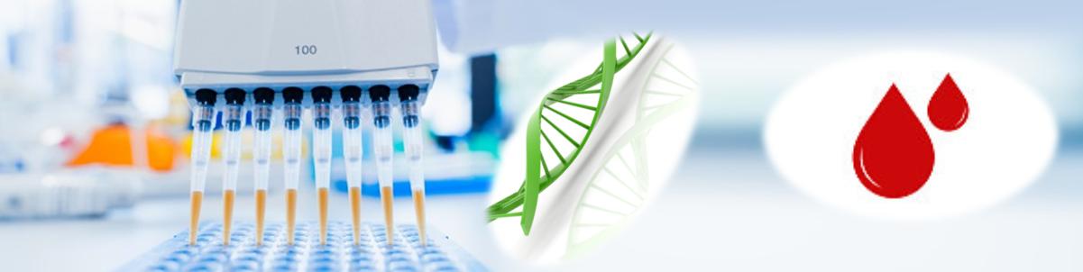 一步法血液DNA純化試劑盒 一步法血液DNA純化試劑盒