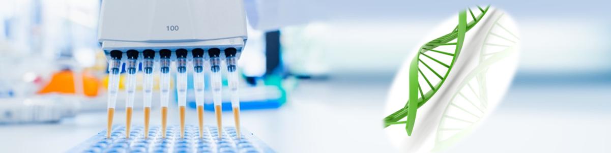 一步法 DNA 熒光染料清除試劑盒 一步法 DNA 熒光染料清除試劑盒