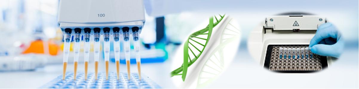 一步法PCR抑制劑清除試劑盒|快速有效去除PCR抑制劑 一步法PCR抑制劑清除試劑盒|快速有效去除PCR抑制劑