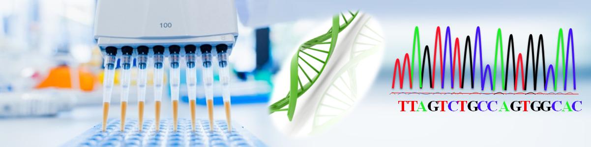 一步法桑格測序純化試劑盒 一步法桑格測序純化試劑盒