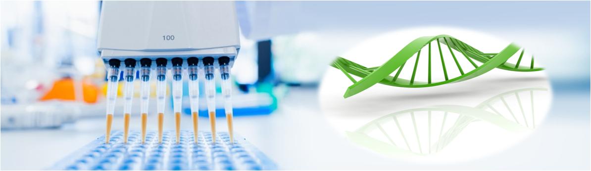 單鏈DNA一步法去除試劑盒: 不費(fèi)吹灰之力獲得最高質(zhì)量的DNA 單鏈DNA一步法去除試劑盒: 不費(fèi)吹灰之力獲得最高質(zhì)量的DNA