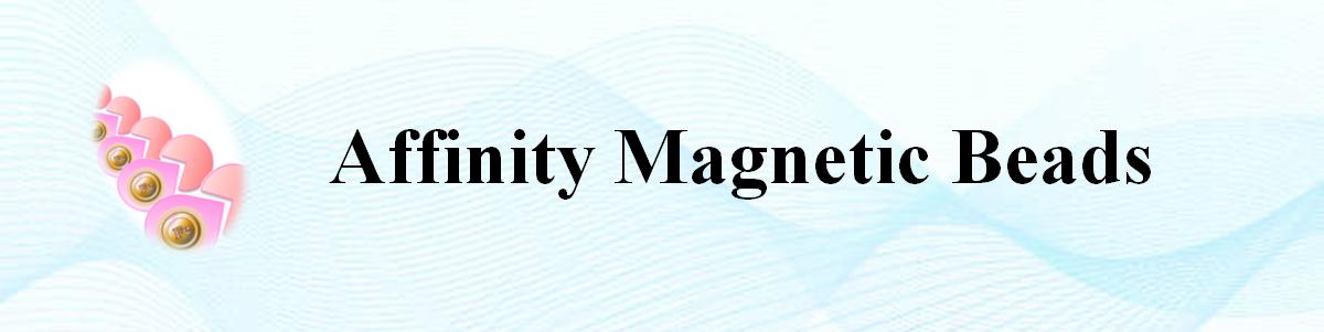 DVS活化磁珠 DVS活化磁珠