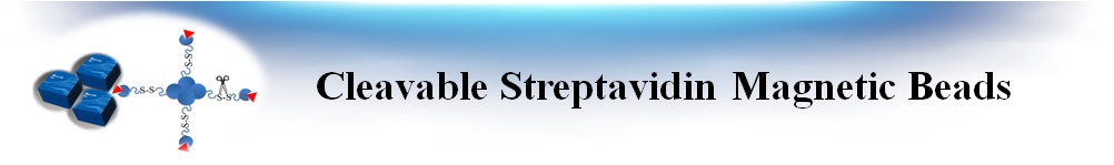 可分離式鏈酶親和素磁珠 可分離式鏈酶親和素磁珠