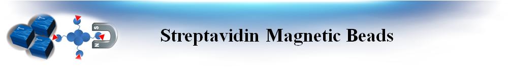 鏈酶親和素磁珠 鏈酶親和素磁珠
