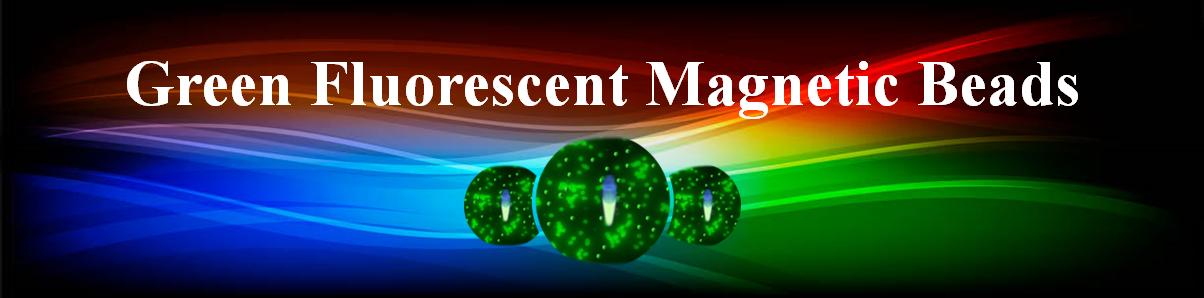 蛋白A鋱熒光磁珠 蛋白A鋱熒光磁珠